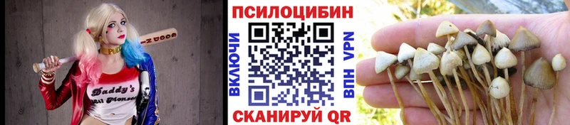 Псилоцибиновые грибы Psilocybe  omg ONION  Верещагино 