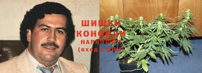 Марихуана SATIVA & INDICA  Верещагино 